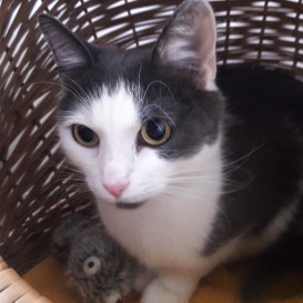 20210821_171136_resized