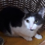 20210821_171224_resized