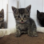 20210724_133504_resized