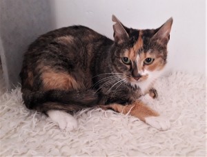 20210901_150853_resized