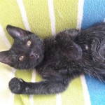 20210904_154719_resized