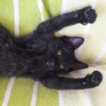 20210904_154747_resized