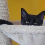 20210904_155539_resized_1