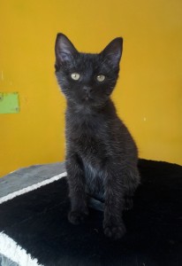 20210904_155629_resized