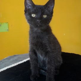 20210904_155629_resized