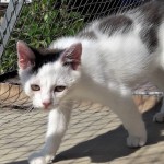 20210906_140007_resized