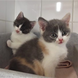 20210907_184601_resized