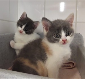 20210907_184601_resized