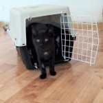 20210909_140408_resized