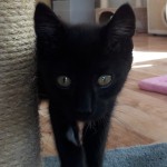 20210909_141032_resized