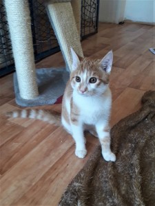 20210909_141406_resized