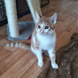 20210909_141406_resized