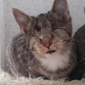 20210912_130109_resized