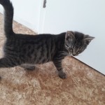 20210912_131023_resized