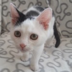 20210923_144815_resized