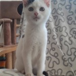 20210923_144907_resized