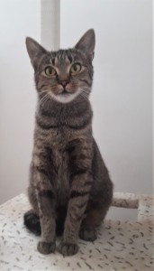 20210924_134033_resized