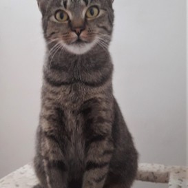 20210924_134033_resized