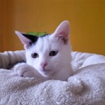 20210929_150232_resized