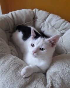 20210929_150253_resized