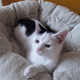 20210929_150253_resized