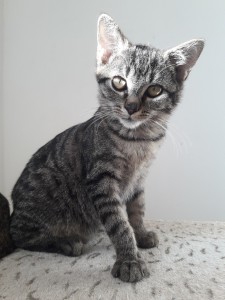 20210930_155241_resized