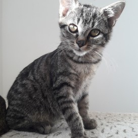 20210930_155241_resized