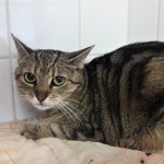 20211002_133403_resized