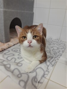 20211014_164550_resized_1