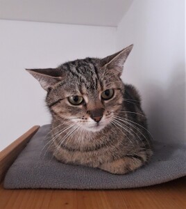 20211025_145701_resized(1)