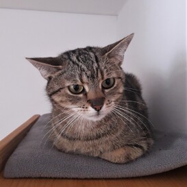 20211025_145701_resized(1)