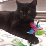 20211026_152745_resized