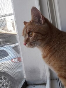 20211029_160918_resized