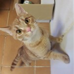 20211029_161546_resized