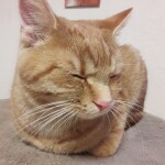 20211029_174435_resized