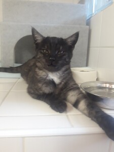 20211103_093407_resized