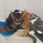 20211103_130731_resized