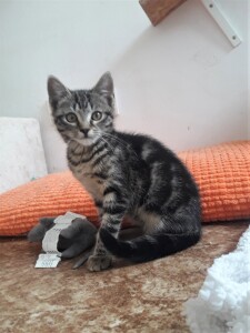 20211110_125213_resized