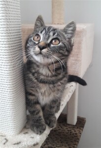 20211110_125805_resized