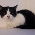 20211113_161134_resized