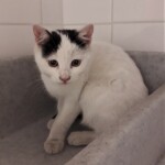 20211114_170209_resized