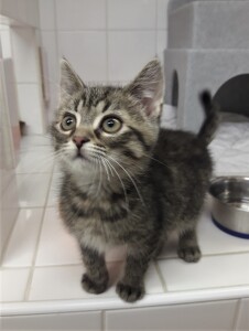 20211115_184539_resized