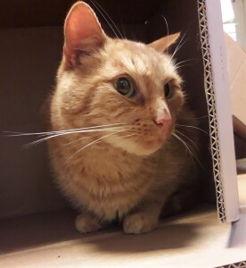 20211122_140955_resized