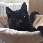 20211122_144053_resized