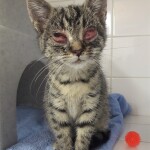 20211126_155724_resized