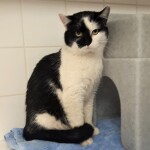 20211128_122924_resized