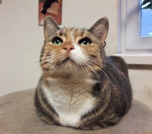 20211128_151605_resized