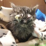 20211128_152315_resized