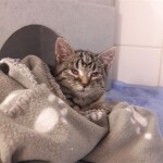 20211201_171419_resized