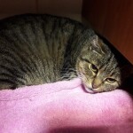 20211205_180149_resized